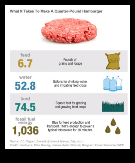 Veģetāra dzīvesveida ietekme uz vidi