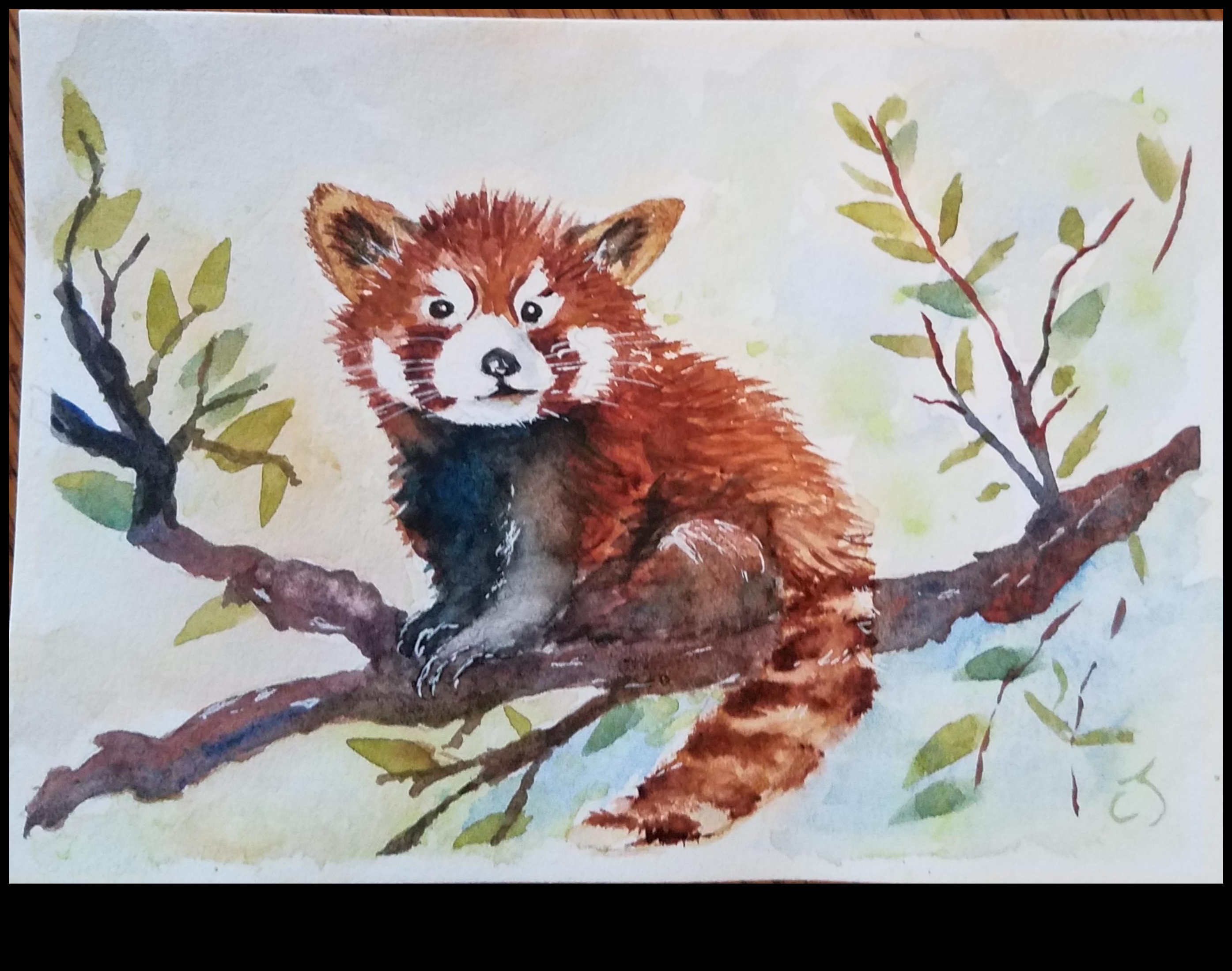 Akvareļu brīnumi: iedziļinieties plūstošās mākslas skaistumā