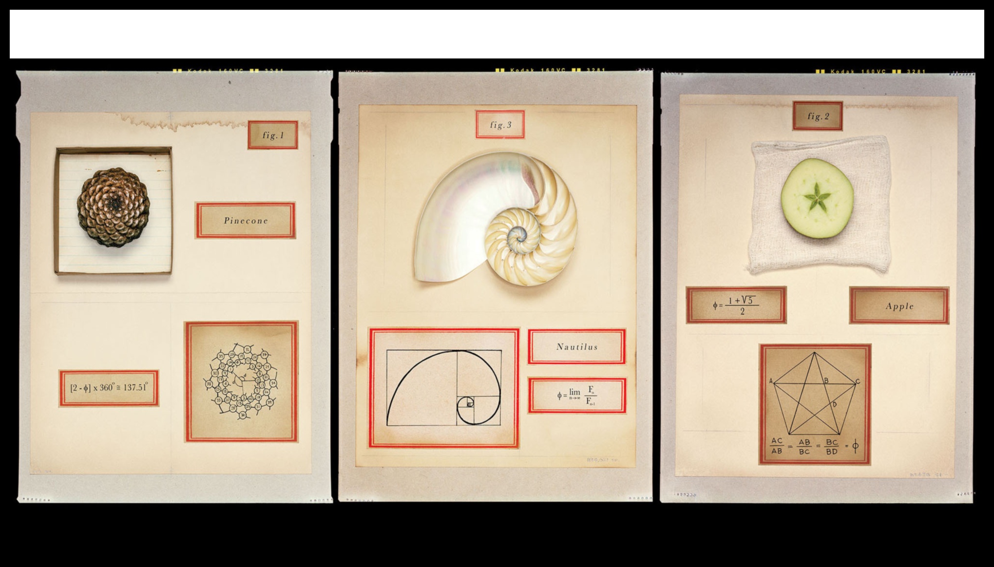 Procesa vienādojums: inovācijas un atlīdzības līdzsvarošana