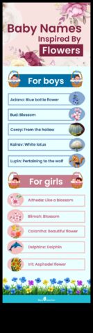 Blossom Ballet Gludais un rafinēts informācija puķu mazuļu vārdiem