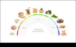 Vitamīni ceļu augstu olbaltumvielu saturu, kas tas var būt un kāpēc lai varētu strādā