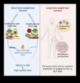 Hormonālā līdzsvara periods un zaudējums, ievērojot ilgstošas ​​​​diētas