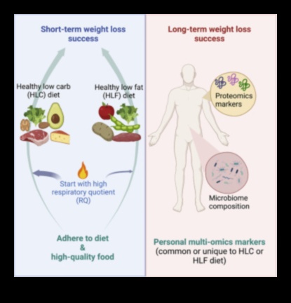 Hormonālā līdzsvara periods un zaudējums, ievērojot ilgstošas ​​​​diētas
